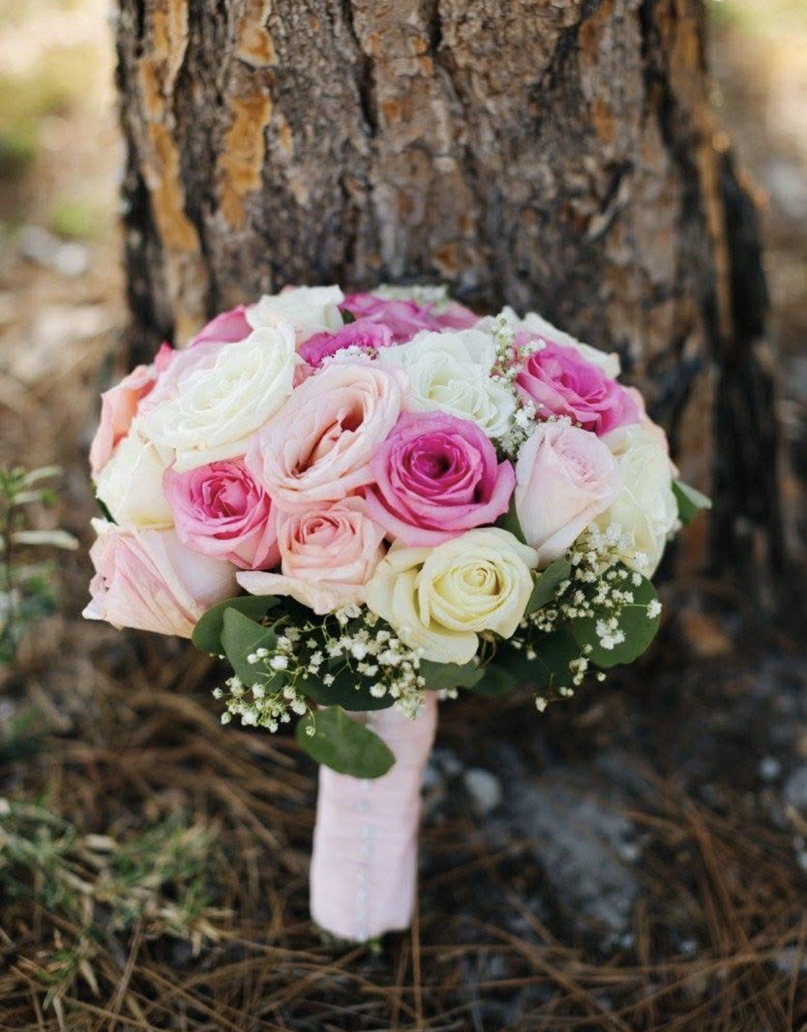A bouquet of hot-pink, blush and cream roses with baby's breath resting against a pine trunk